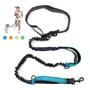 Dual Handle Elastic Bungee Hands Free Dog Running Leash With Adjustable Waist Belt