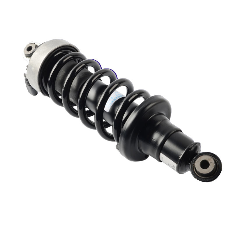 420512019AL Rear Air suspension Shock Absorber For Audi R8 Air strut