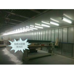  Powerful and Durable Explosion Proof Fluorescent Light for Hazardous Work Environments Manufactures