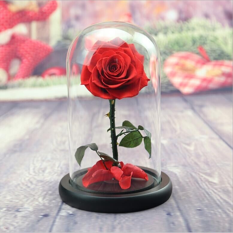 Preserved Fresh Flower Live Enchanted Rose in Glass Dome Cover with Gift Box Forever Real Rose Everlasting Flower