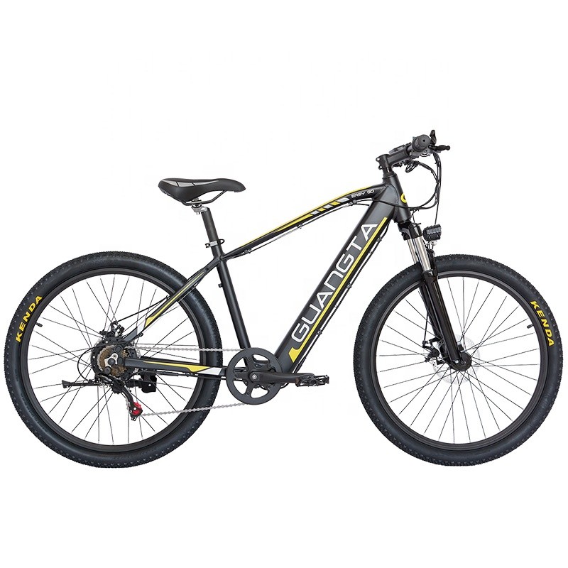 750W 500 Watt Electric Bike Electric Mountain Bike With Rainproof Ebike LCD Display Showing E Message