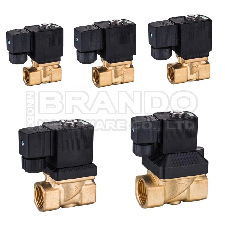 6013  Type 1/4'' NPT 2/2 Way Direct Acting Plunger Operated Brass Solenoid Valve 1