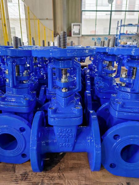 PN10 PN16 125lb 150lb Flanged Rising Stem Gate Valve For Electric Actuator