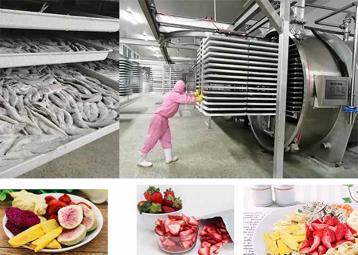 Pharma Industry Electric Heating Freeze Dryer In Pharmaceutics