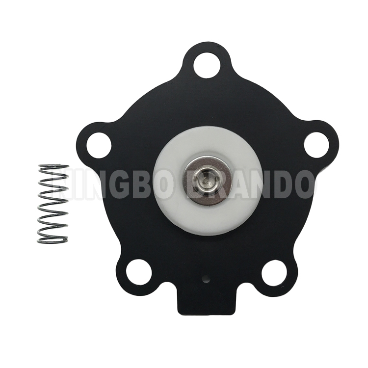 C113684 Diaphragm