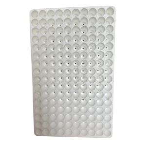 China 160 Hole Round EPS Seedling Tray Foam Seedling Tray Plant Seedling Cultivation Tray on sale