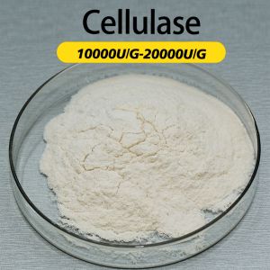  Cellulase Enzyme 10000U/G Enzyme Preparation Sample Testing Enzymatic Hydrolysis Technology Guidance Manufactures