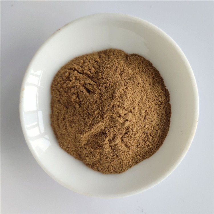 Medicine Grade broccoli extract with best price