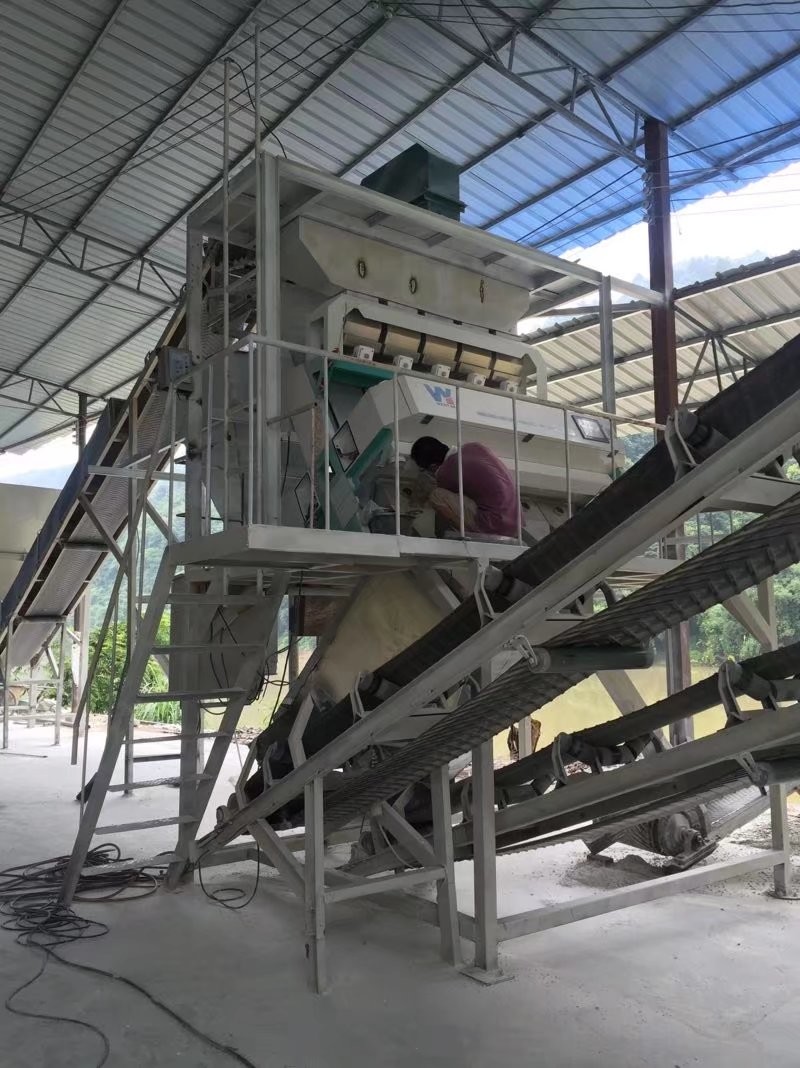 CCD Camera Sunflower Kernel 2t/H Color Sorter Machine 256 Channels