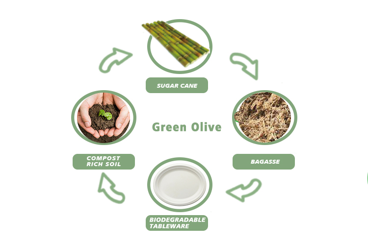 100% Biodegradable Sugarcane Pulp Disposable Cups With Lids
