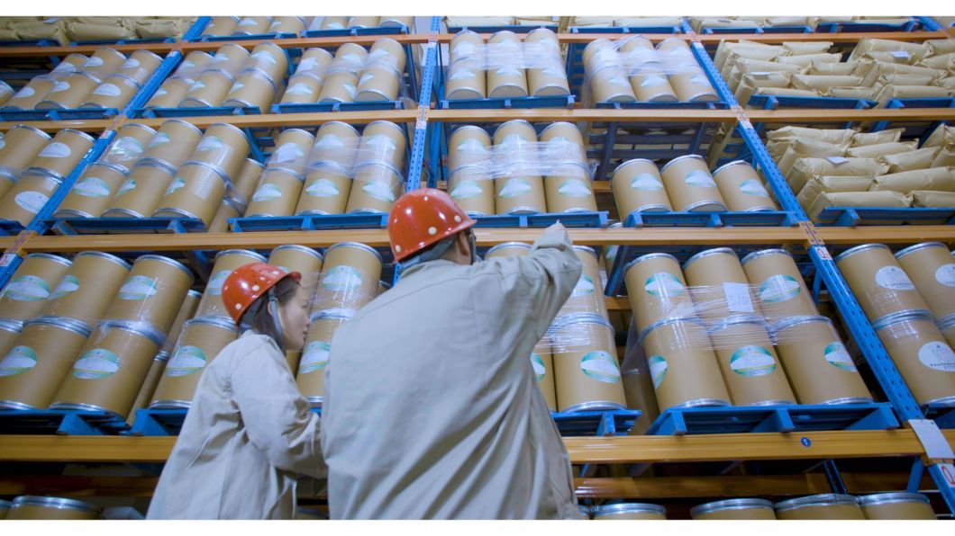Sodium Carboxymethyl Starch/Sodium Starch Glycolate CAS No. 9063-38-1