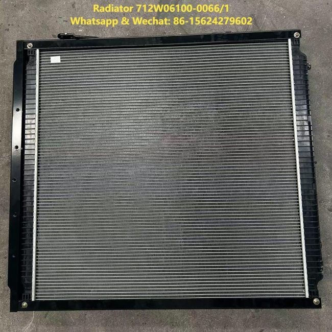 Radiator 712W06100-0066/1 HOWO Truck Parts Engine Radiator Coolant Radiator