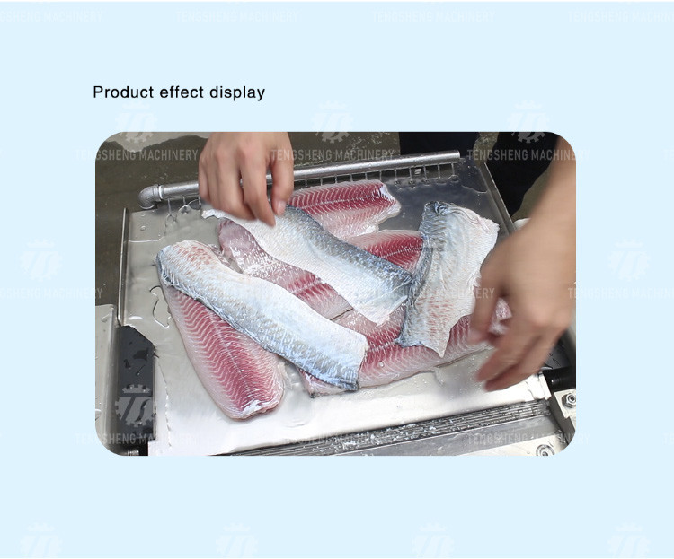 30pcs/min Fish Processing Machine Squid Cuttlefish Skin Peeler