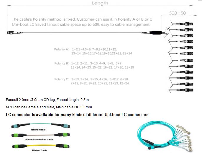 24 Fibers MPO to LC OM4 Fiber Optic MPO-LC 2.0mm Straight harness Cables