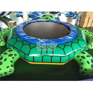 ODM Inflatable Turtle With Slide Durable 0.9mm Pvc Tarpaulin Material