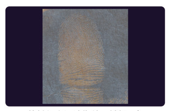 C205 BTDM-Ⅰ Vacuum coating fingerprint developing instrument