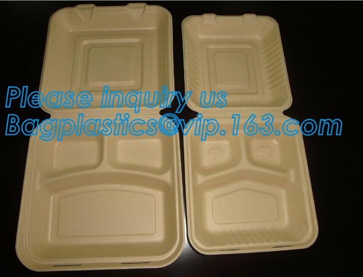 Meal Prep Containers Free Sample Bento Lunch Box Biodegradable Food Container Plastic Wheat Straw Lunch Box bagplastics