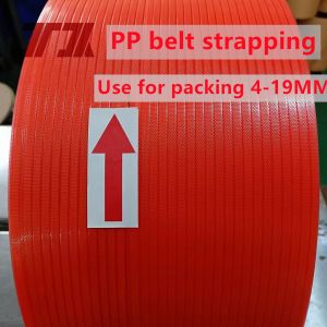 Energy Efficiency PP Packing Strap Extruder Production Line With Automated
