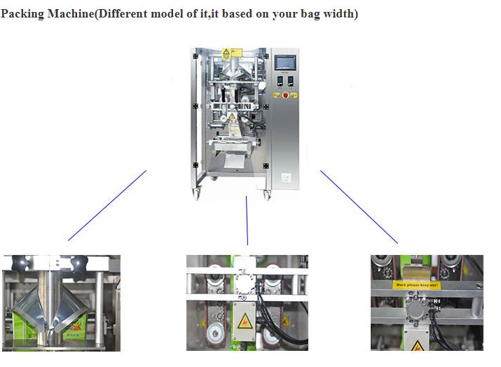 Siemens PLC Control Automatic Rice Packing Machine For Bag