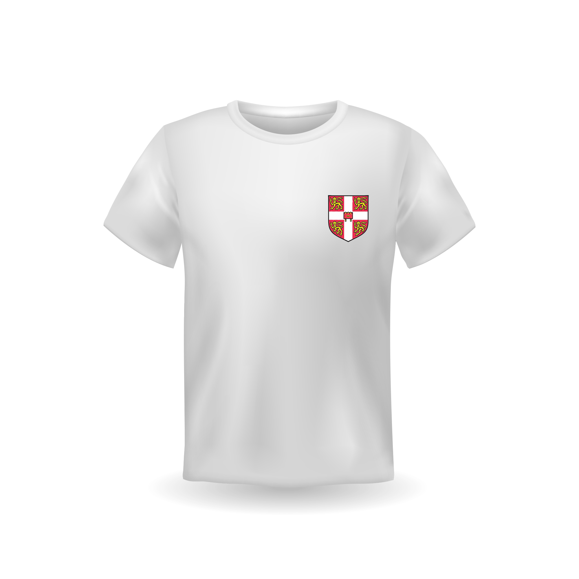 Breathable Fabric University and Promotion T-Shirt with Custom Logo and Short Sleeve