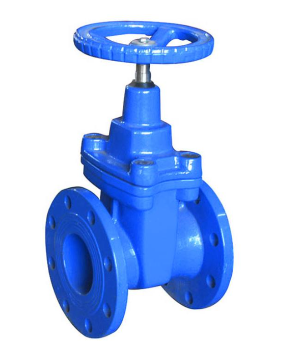 Stainless Steel Gate with Customized Structure BUTTERFLY Cast Iron Gate Valve Ggg50