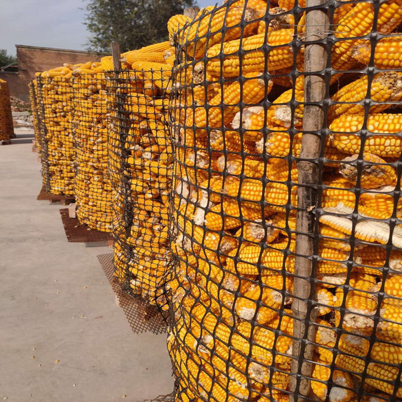 Chinese Design Style Biaxial Geogrid Fence for Chicken Roadbed Roadbed Load Capacity