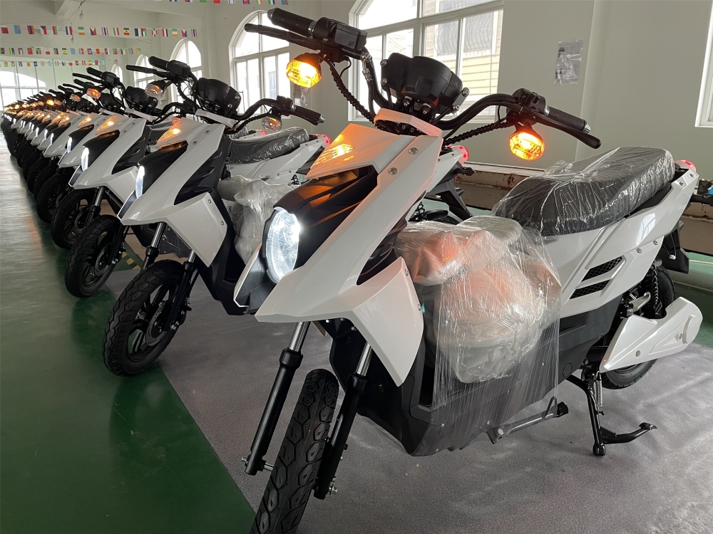 48V 800W Pedal Assisted Electric Scooter With LCD Display 20Ah Lead Acid Battery