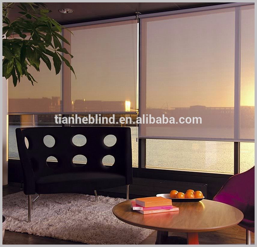 hot sale zebra stocks cheap price zebra blinds double layer roller shutter day night blinds