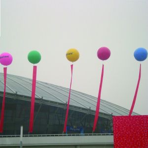 Custom Promotion Inflatable Balloon Advertising Inflatable Balloon Custom