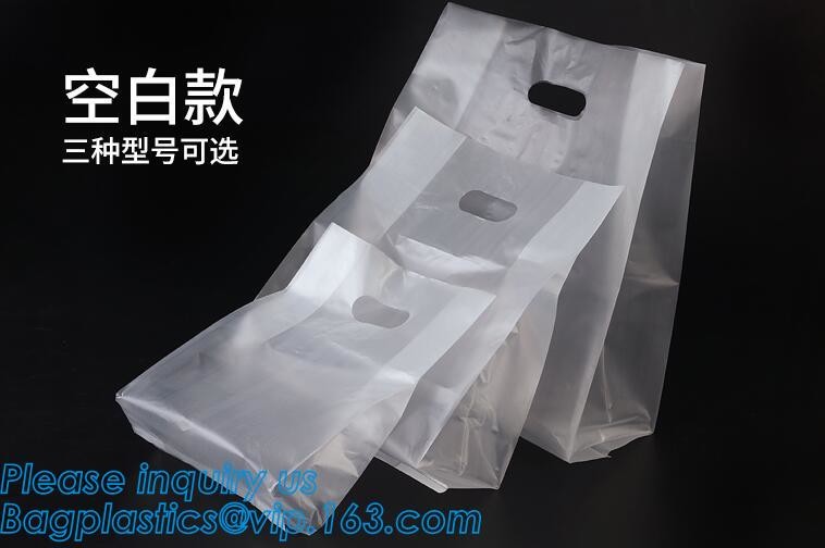 Meal Prep Containers Free Sample Bento Lunch Box Biodegradable Food Container Plastic Wheat Straw Lunch Box bagplastics