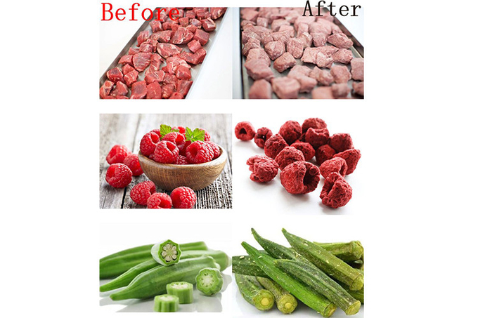 Remote Control Industrial Freeze Drying Equipment With Water Cooling System