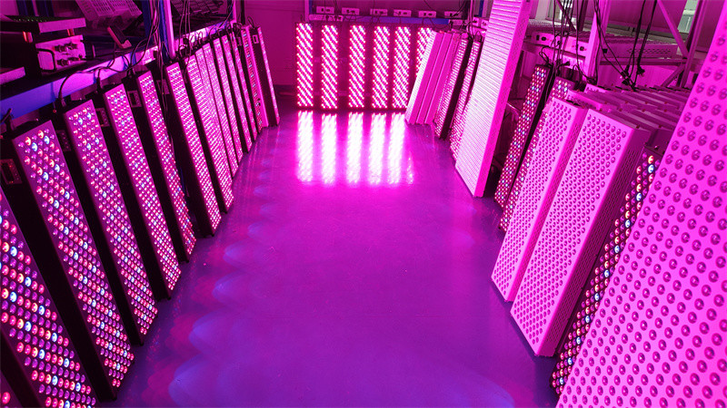 300-6000W Infrared PDT Light Therapy Device OEM/ODM 8 Wavelengths Model Full Body Use