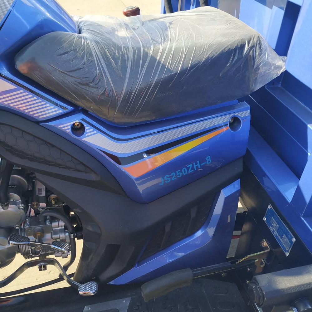 China 300cc BestSale HeavyLoadingDeliveryCargoPetrolTypeThreeWheelMotorbikeBenzinTruckTrailersCargoTricycleMotorcycle