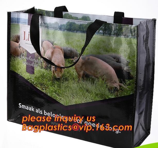 Custom Huge Luggage PP Woven Bag With Zipper Lock,PP Woven Shopping Bag,Factory customized cheap laminated pp woven shop