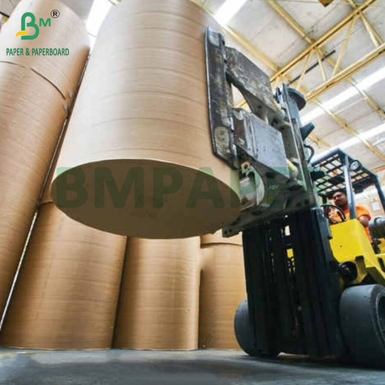  240gsm + 18g PE Coated Cupstock Paper For Tray Mats Water Resistant 650mm 