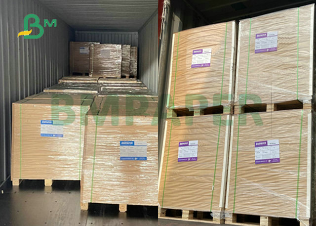 260gsm 280gsm PE Coated White Laminated Cardboard For Normal Paper Cups 886mm 747mm 