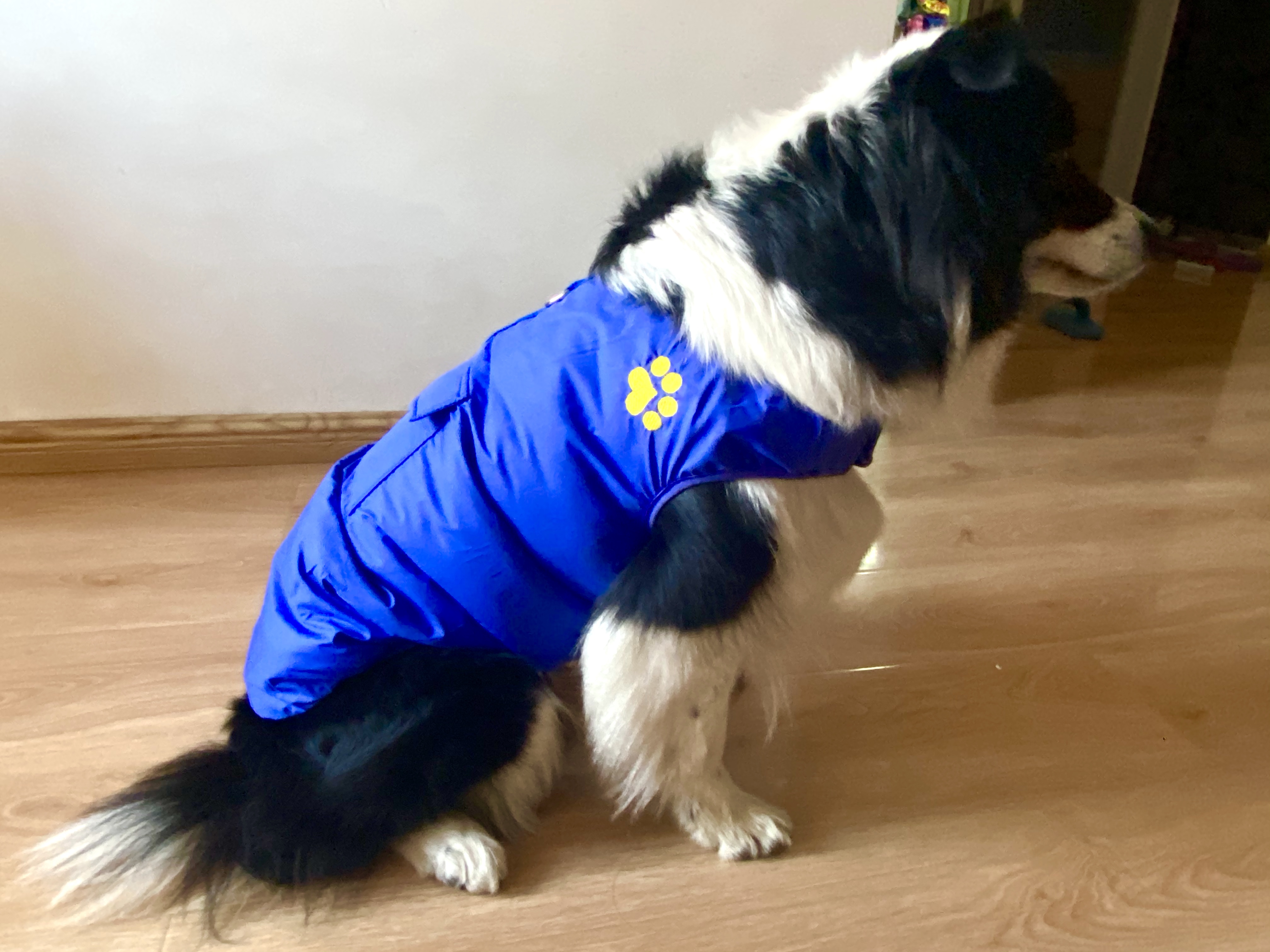Dog Cotton Padded Jacket Winter Coat For Cat Cold Weather Coats Warm Vest For Pet Dog Clothes Outerwear
