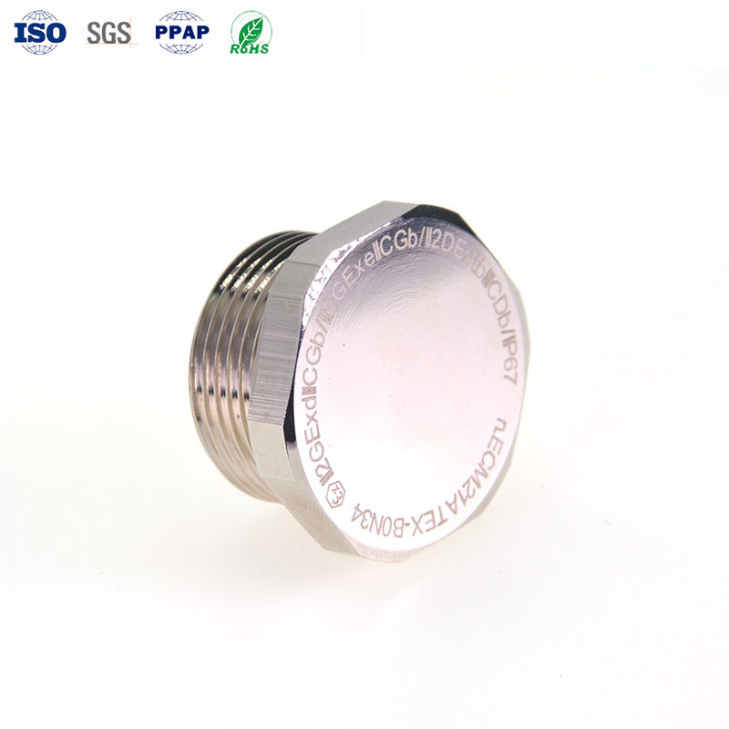  Brass Plated Hex Head Plug CNC Machining Part ±0.01mm Precision Manufactures