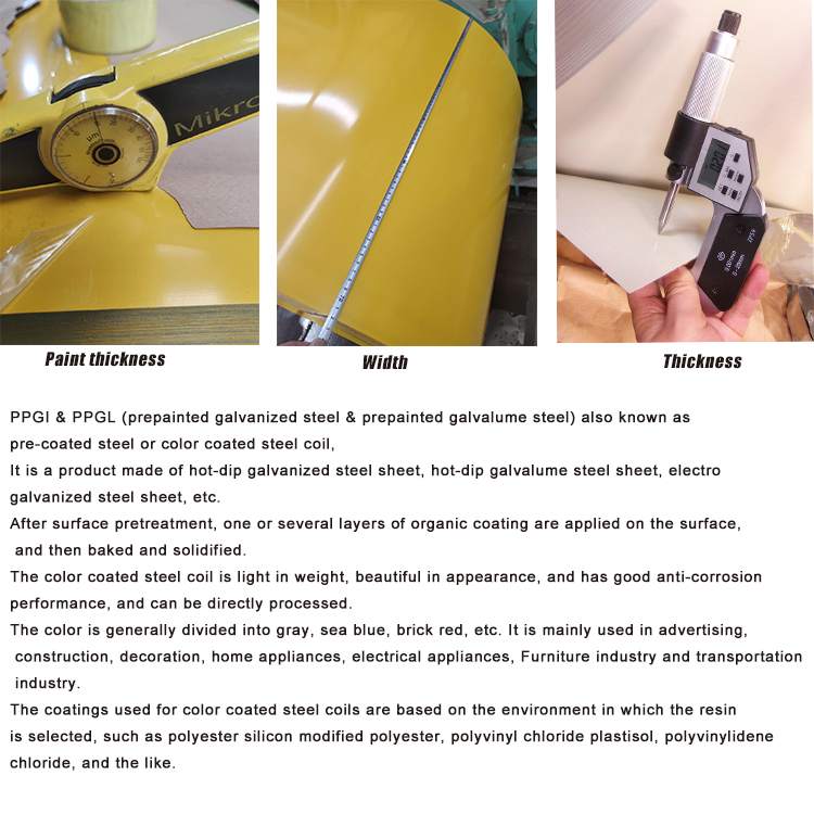 Length at request PPGI steel coil pre-painted galvanized iron coil galvanized material roll