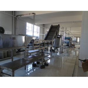 Complete Kale Processing Line Celery/Kale/Cucumber Production Plant Customized