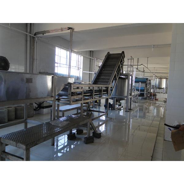 Complete Kale Processing Line Celery/Kale/Cucumber Production Plant Customized