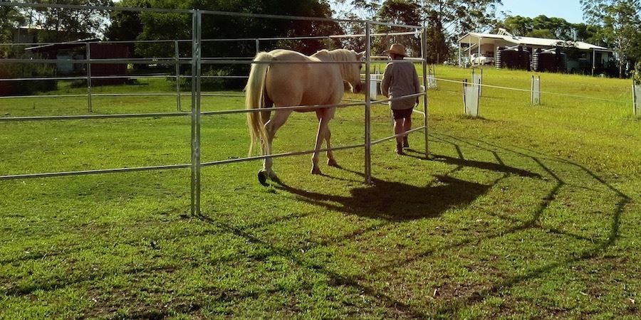Australia Hot dipped galvanized 1.8x 2.1m livestock used horse panels for sale