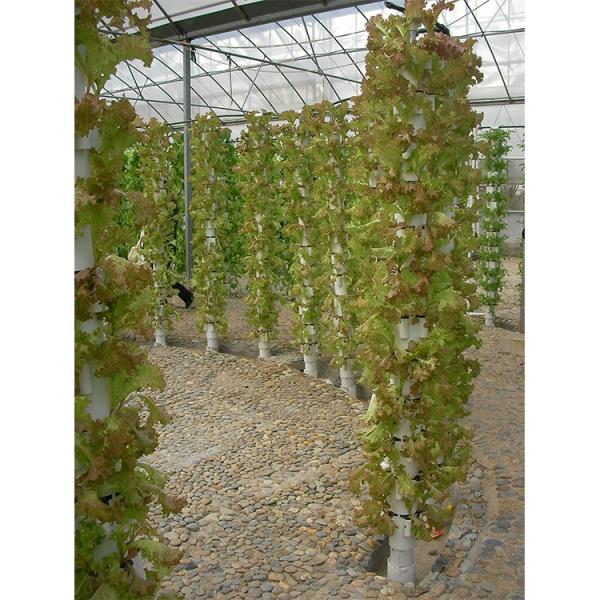 Customizable Electricity Vertical Hydroponic System For Indoor Plant Growing