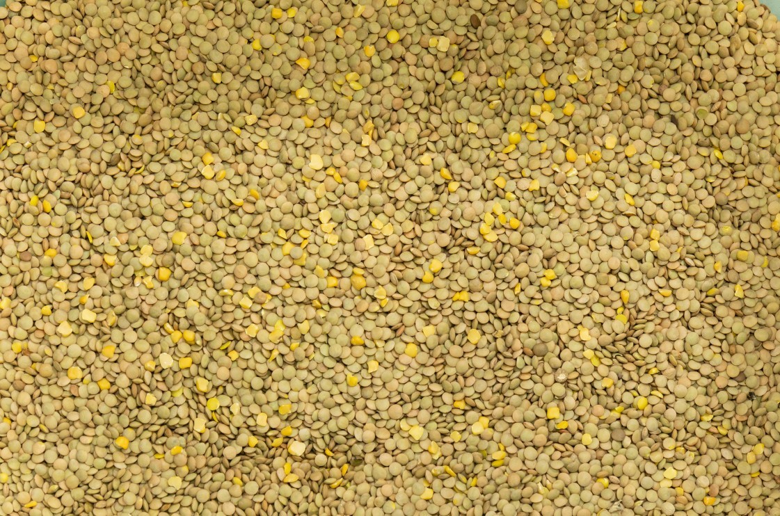 Intelligent 128 Channels Toshiba Bean Sorting Machine 1.2M3/Min