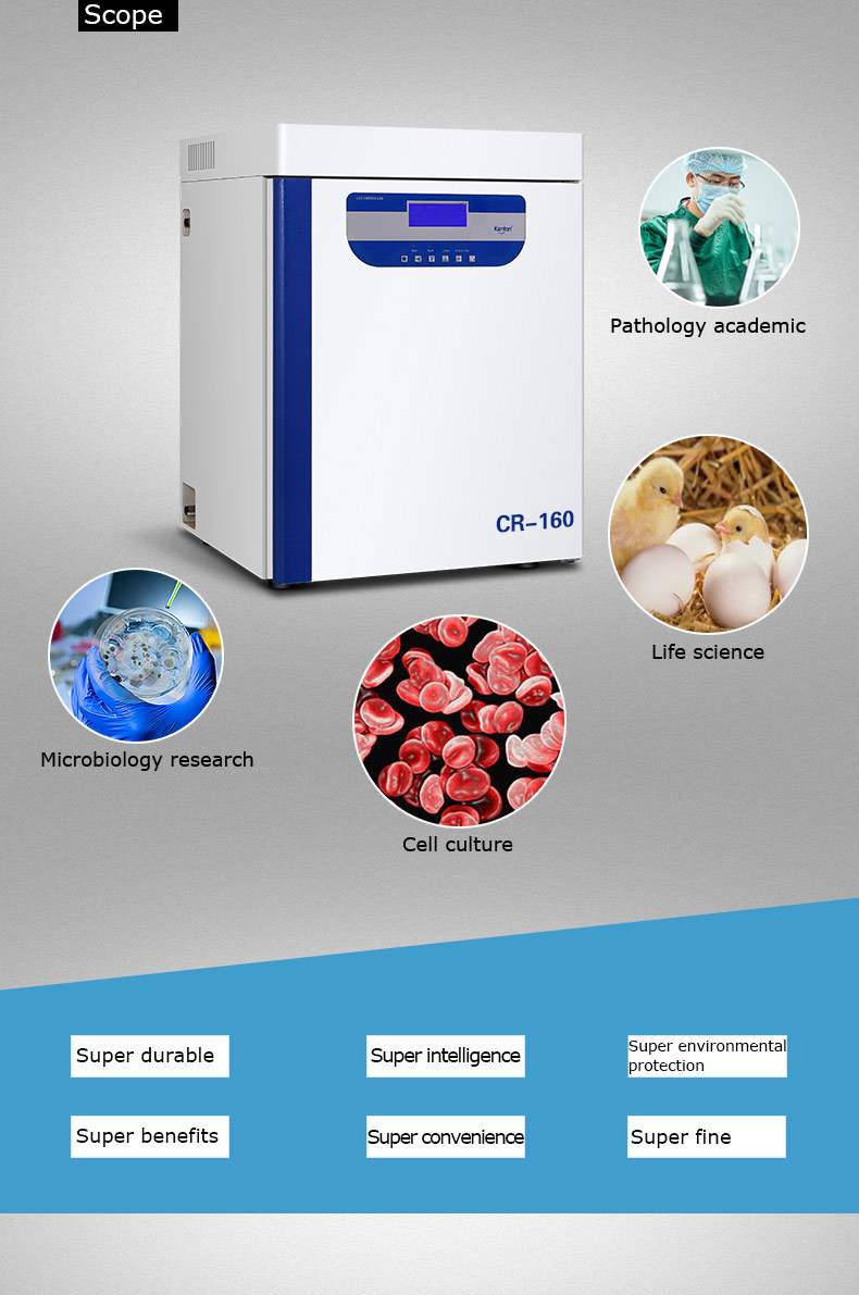 CO2 Cell Culture Incubator Large Benchtop Flatbed Lab Equipment For Microbiology Medicine