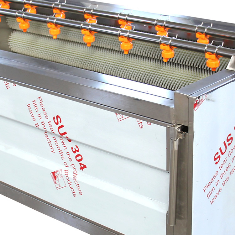Roller Rootbeet Industrial Carrot Peeler 1400kg/H Root Vegetable Peeling Machine