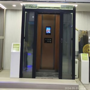 China Luxury Gearless Home Elevator | Versatile 500-1000kg Capacity on sale