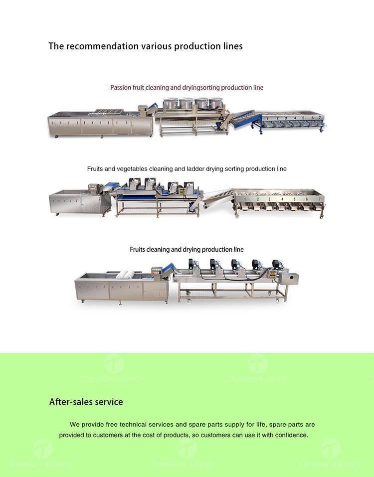 2.2KW Garlic Peeling Machine Industrial Factory Food Processor