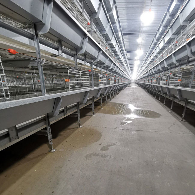 Floor Saving Meat Broiler Chicken Cage For Chicken Farm