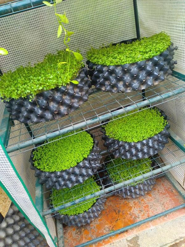 High quality air black pruning pot hydroponic strong root pruning pot nursery pots for plants